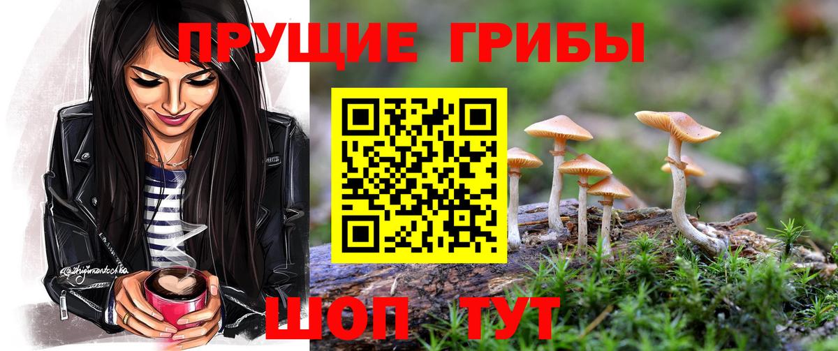 Псилоцибиновые грибы GOLDEN TEACHER Бузулук