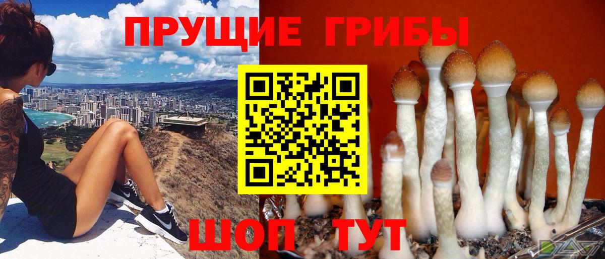 Бузулук  Галлюциногенные грибы мицелий  Вход с VPN 
